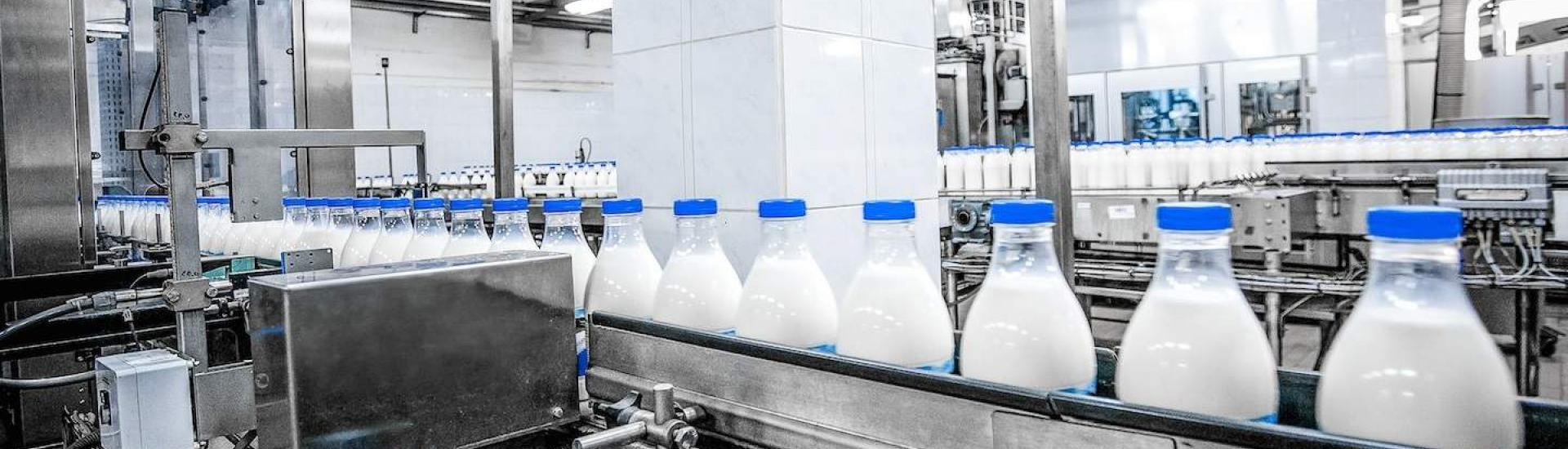 Milk automation