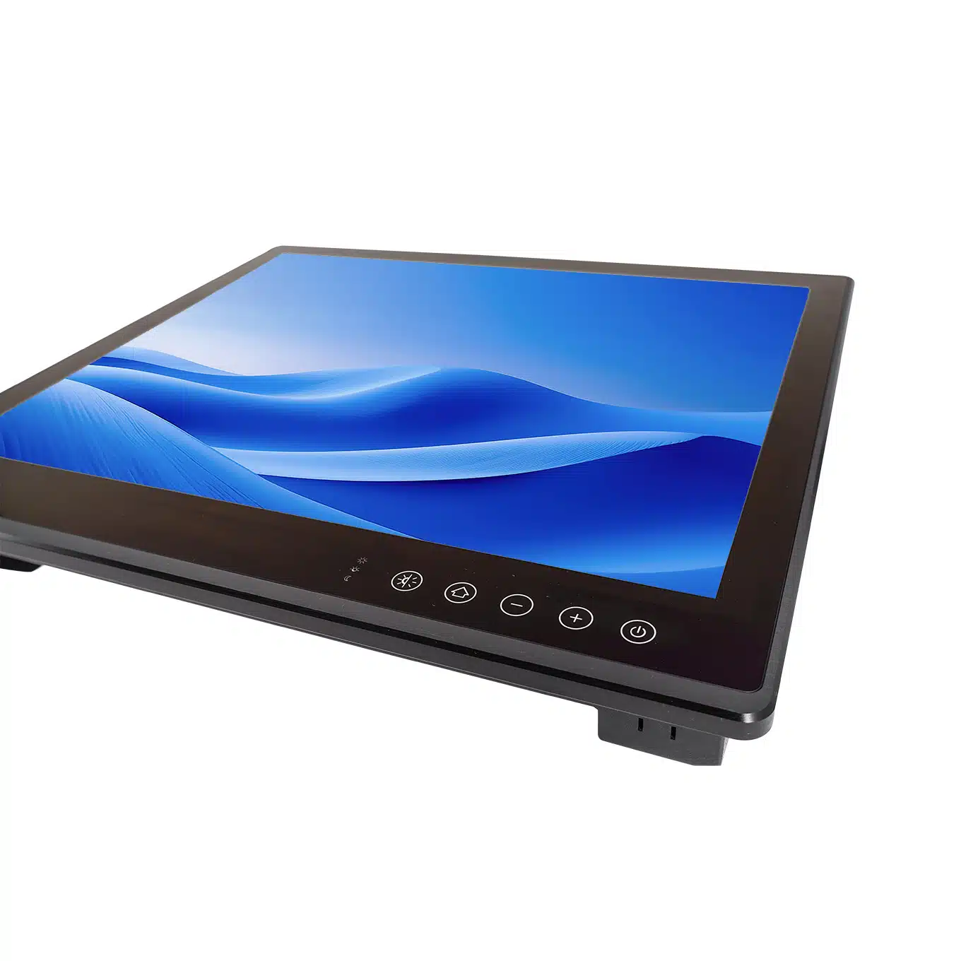 Blue Line Marine monitor with I/O configurations